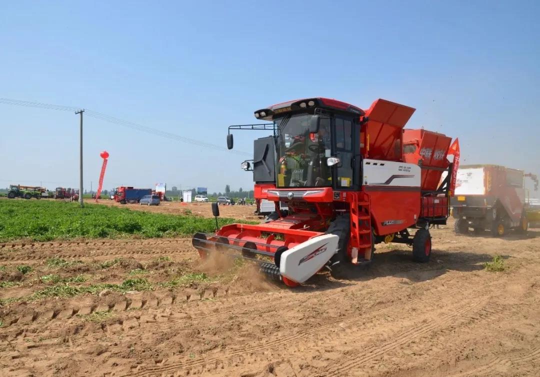 中聯(lián)收獲在石家莊花生生產(chǎn)農(nóng)機推廣田間日活動上大顯神威,用戶直接提兩臺一年作業(yè)兩千多畝