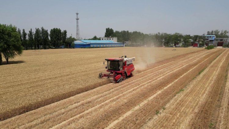 中聯(lián)收獲經(jīng)銷商的堅(jiān)守:永保服務(wù)品質(zhì) 延續(xù)品牌榮耀 中聯(lián)收獲經(jīng)銷商的堅(jiān)守:永保服務(wù)品質(zhì) 延續(xù)品牌榮耀(圖2)