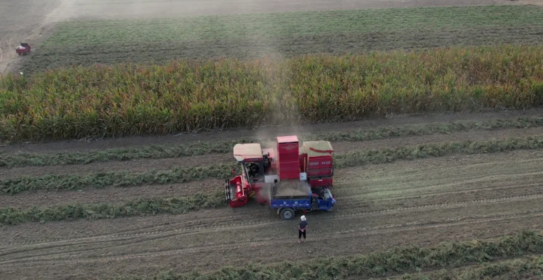 中聯(lián)收獲花生機 助力農民走向致富路 1712756100455348.png