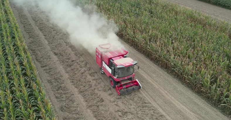 中聯(lián)收獲花生機 助力農民走向致富路 1712756133787129.png