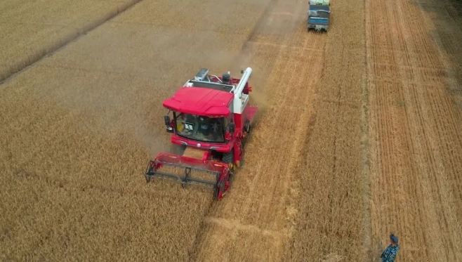 河南新鄉(xiāng)于師傅:喜歡機(jī)械,更喜歡中聯(lián)收獲 1715778353753318.png