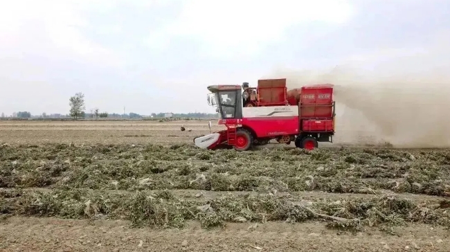 中聯(lián)收獲助力楊進(jìn)亮在滑縣白道口鎮(zhèn)實現(xiàn)高效農(nóng)業(yè) 1.png