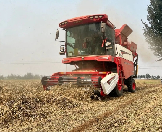 從麥客到花生王:渭南拜師傅的跨賽道致富經(jīng) 1.jpg